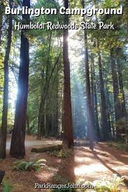 Burlington Campground In Humboldt Redwoods State Park California Humboldt Redwoods State Park State Parks State Park Camping