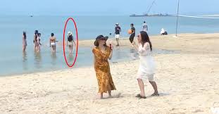 Con trai ns hoài linh tiết lộ định làm một việc nhưng bị bố ngăn lại, tiếp tục dằn mặt antifan. Ct6ptb Awio9wm