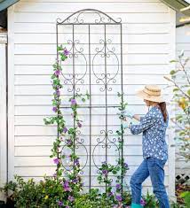 Maybe you would like to learn more about one of these? Montebello Metal Tall Garden Trellis Plowhearth