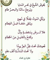 Pin By N R N R On Fes Need Quotes Arabic Quotes Quotes