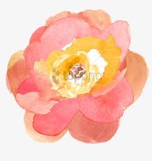 Find & download free graphic resources for flower png. Download Pink And Yellow Flowers Png Png Gif Base
