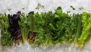 Pos sebelumnya 15 manfaat dan khasiat biji bunga teratai untuk kesehatan. 4 Manfaat Sayuran Hijau Bagi Tubuh