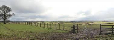 MPs criticise plans for Byers Gill Solar Farm near Darlington