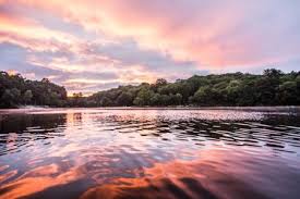 Check spelling or type a new query. Fall Lakers Wachusett Reservoir Tactics The Fisherman