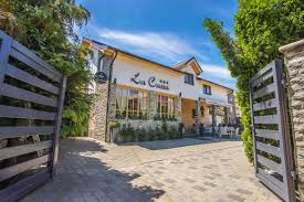 Mocanita este un tren forestier, cu care se poate calatori intre viseu si izvorul comanului. Pensiunea La Cassa Din ViÈ™eu De Sus