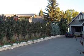 Create a garden in small an unusual spaces: Driveway Landscaping Photos 2