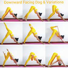 downward facing dog downward dog yoga dog yoga yoga techniques
