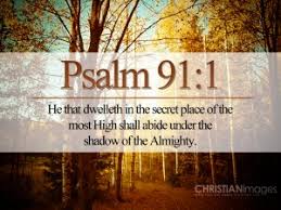 Image result for images PSALM 91:6