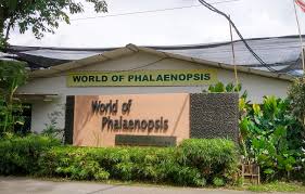 Kangar, malaysia 45 contributions 25 helpful votes. Ulu Yam ä¸€æ—¥æ¸¸ è´è¶å…°èŠ±å›­world Of Phalaenopsis çƒ­æ°´æ¹– Hot Spring Hulu Tamu æ—ºè®°å'–å–±é±¼å¤´one Day Trip To Ulu Yam