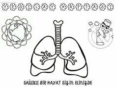 Yesilay Haftasi Etkinliklerimiz Yesilay Haftasi School Pre School Ve Education