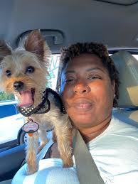 My Yorkie is missing. Her name is Bella, and she was taken in the Woodmead  area. A woman named Erin Jack Barr took her from my yard. If you see her  with