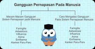Penyakit Pada Sistem Pernapasan Dan Cara Pencegahannya Siswapedia