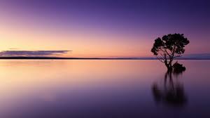 2560x1440 full hd nature computer wallpaper 1080p with romantic beautiful sunset â· beautiful nature hd wallpaper of green trees with blue flowers. Full Hd Wallpaper 1080p Free Download Sky Natural Landscape Nature Horizon Reflection 88058 Wallpaperuse