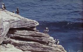 Albert Dixon Simmons