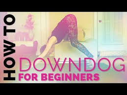 How To Do Downdog If Your Heels Don T Touch The Ground Downdog Alignment Tips For Beginners Beginner Yoga Class Yoga Poses Advanced Advanced Yoga