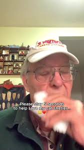 Cómo apoyar refugios de animales