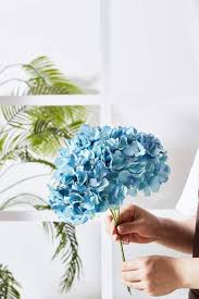 Silk hydrangeas look and feel real, and are a great decoration in any home. Pale Green Kislohum Artificial Hydrangea Flower Heads Hydrangea Silk Flowers Head For Wedding Centerpieces Bouquets Diy Floral Decor Home Decoration Pack Of 10 With Long Stems Artificial Plants Flowers Home Kitchen