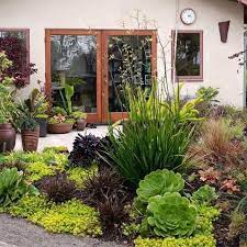 Small Backyard Southern California Design Ideas Pictures Remodel And Decor Gard Small Front Yard Landscaping Front Yard Landscaping Drought Tolerant Garden