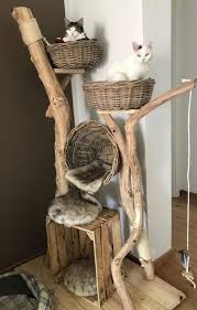 Blog Panosundaki Pin