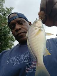 Down from woodland ferry 7:37 985 85