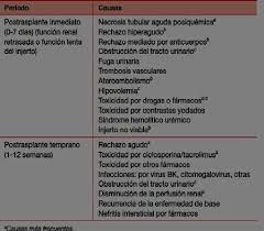 Complicaciones En Trasplante Renal Pdf Free Download