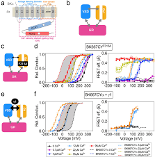 The changes include the addition of new events, event modifications, and event deactivation. Voltage Dependent Dynamics Of The Bk Channel Cytosolic Gating Ring Are Coupled To The Membrane Embedded Voltage Sensor Elife