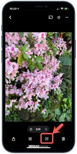 Check spelling or type a new query. Google Photos Hidden Technique Identify Flowers Plants Cats And Dogs Scenery And Food In 1 Second Iphone Wired