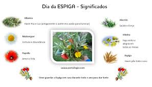 O dia da espiga era também o dia da hora e considerado o dia mais santo do ano, um dia em que não se devia trabalhar ( em frança e em mais alguns outra versão. Portulogia Dia Da Espiga Dia De Portugal 1 De Maio