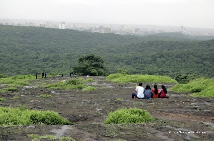 Sanjay Gandhi National Park: Mumbai's Forested Zone for Flora and Fauna