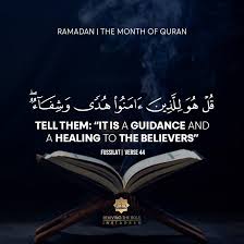 Pin On Daily Quran Ayats
