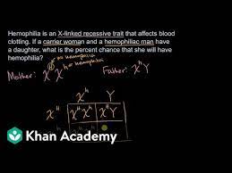 What genotypes are possible for the individuals marked 1, 2, and 3? Example Punnet Square For Sex Linked Recessive Trait Video Khan Academy