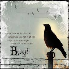 Bird On A Wire Meaning A Crow S Wisdom Crow Crow Art Black Bird