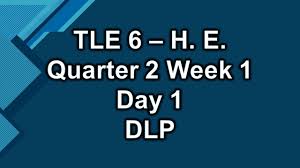 Tle 6 Quarter 2 Week 1 Day 1 Sample Dlp Elementary Lesson Economics Lessons Video Lessons