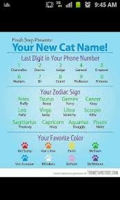 Pin By Taylor Love On Furry Friends Just For Laughs What Is Your Name Names