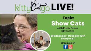 KittyCatGO LIVE! with Emilia Evans