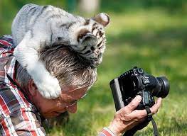 Why Being A Nature Photographer Is The Best Job In The World 20 Photos Funny Animal Photos Funny Animals Cute Animals
