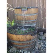 Also lots of corkscrew valisneri, jungle valisneria. Pin On Outdoor