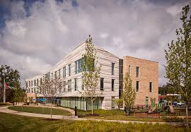 Image result for Erlangea