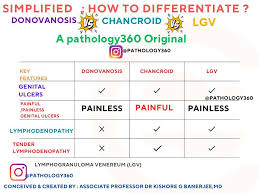 Image result for chancroid