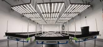 Get a fan and put it in your grow tent. Best Led Grow Lights Of 2021 Top Hobbyist Commercial Led S