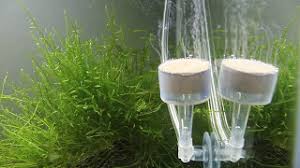 Diy inline co2 diffuser uk aquatic plant society. Tutorial Diy C02 Diffuser Tutorial Video Craft