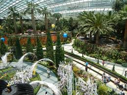 Among the standout features are the famous supertree a visit to both greenhouses costs s$28 for adults and s$15 for kids. Ltslp1twzggjsm