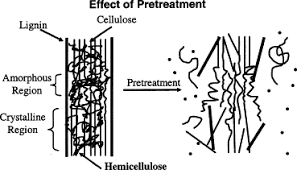 This review article provides an outline of the pyrolysis process including pretreatment of biomass, pyrolysis mechanism, and process products upgrading. Features Of Promising Technologies For Pretreatment Of Lignocellulosic Biomass Sciencedirect