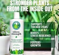 Amazon.com: Silica Strength Plant Supplement – Strengthens ...