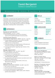 travel agent resume sample resumekraft