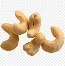 Found in the snack aisle! Cashew Nut Png Kajoo Dry Fruit Tree Png Image With Transparent Background Toppng