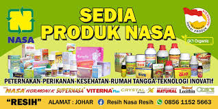 Lihat ide lainnya tentang kartu nama, kartu, desain. Pin Di Desain Spanduk Banner Nasa