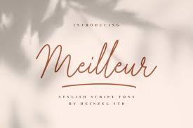 This font would also fall under the graphic font category and would be a perfect choice for edgier illustrations or logos. Meilleur Font In Fonts On Yellow Images Creative Store