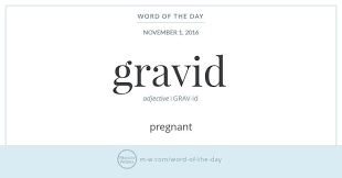 Word Of The Day Gravid Uncommon Words English Vocabulary Words Aesthetic Words