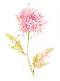 This Item Is Unavailable Etsy Watercolor Flower Art Watercolor Flowers Paintings Flower Painting